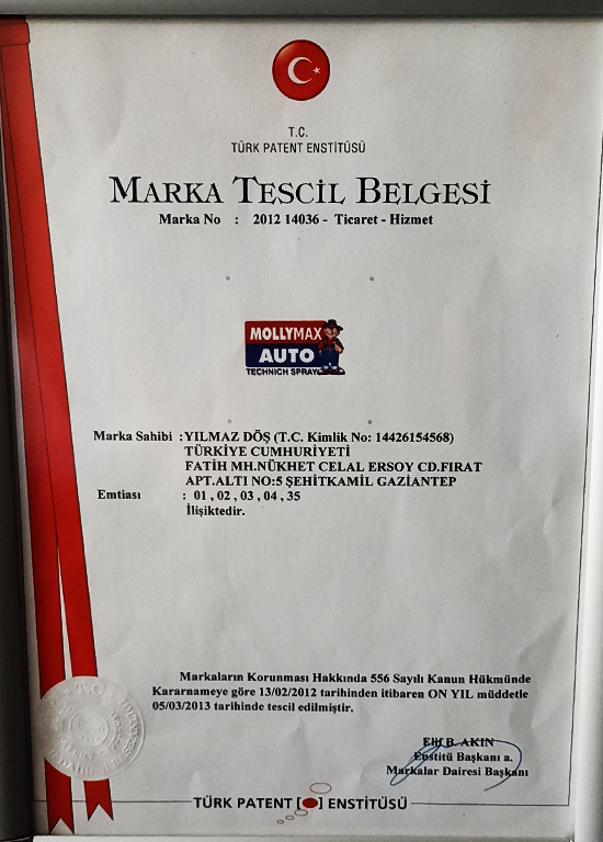 Belge 8